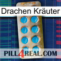Drachen Kräuter new09